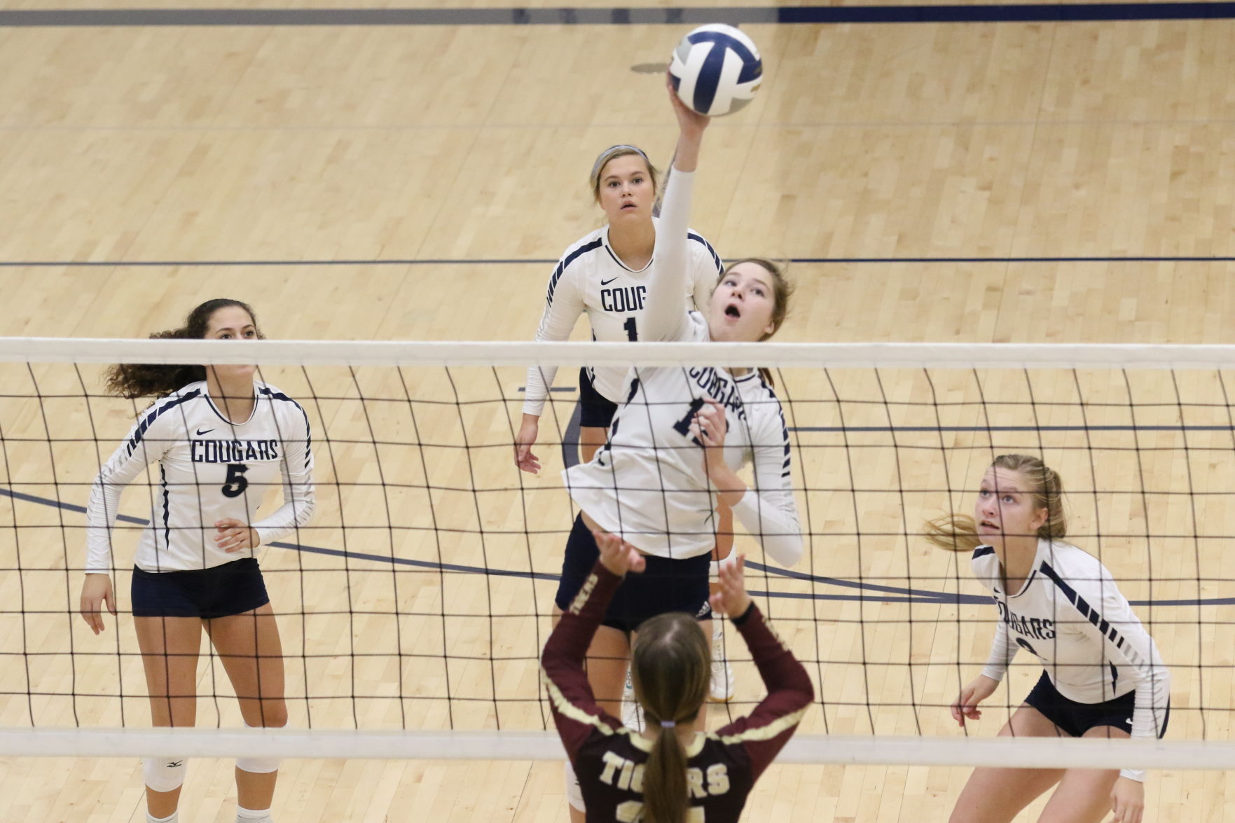 Volleyball (70).JPG